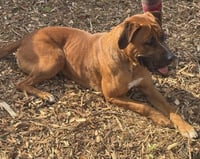 NALA - Photo 2