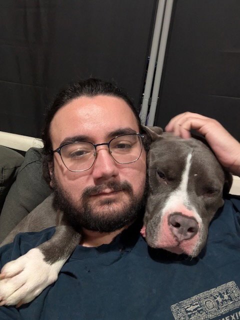 LOKI - Pit Bull Terrier available for adoption