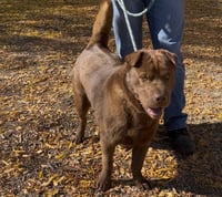 HUGO - Photo 1