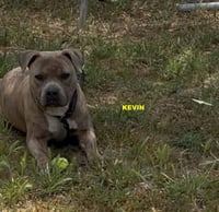 KEVIN - Photo 5