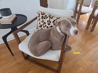 PEARL - Photo 9