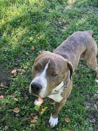 MR ROCKY - Photo 7