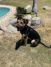 MARVIN - Photo 3