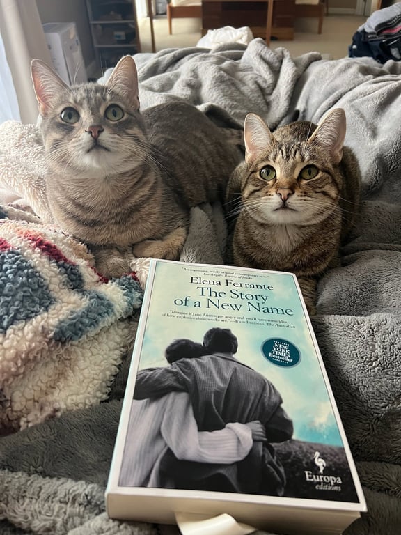 Nismo & Chai Image