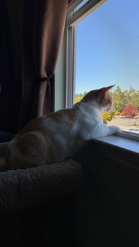 Walter - Photo 3
