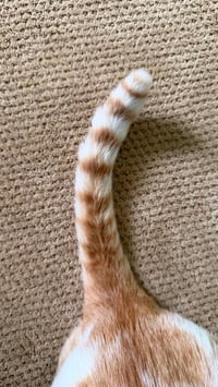 Walter - Photo 5