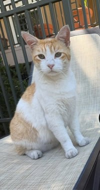 Walter - Photo 2