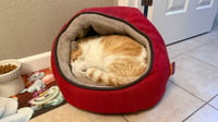 Walter - Photo 4