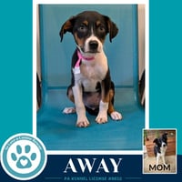 Away (Rosie's Wranglers) 053026 - Photo 1