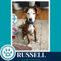 Russell 053026 - Photo 1