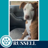 Russell 053026 - Photo 2