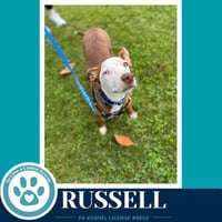 Russell 053026 - Photo 3