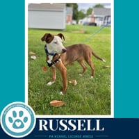 Russell 053026 - Photo 4