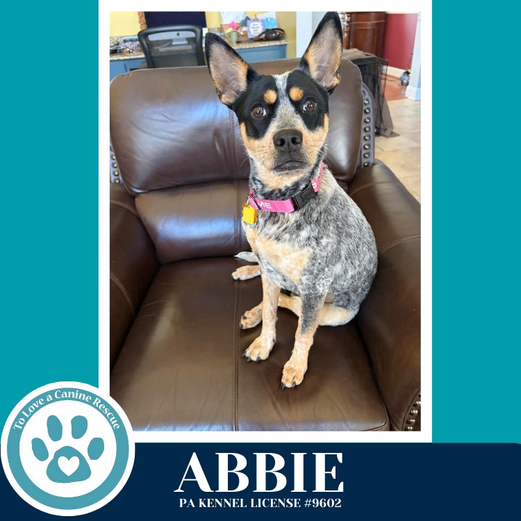 Abbie 020726 - Photo 3