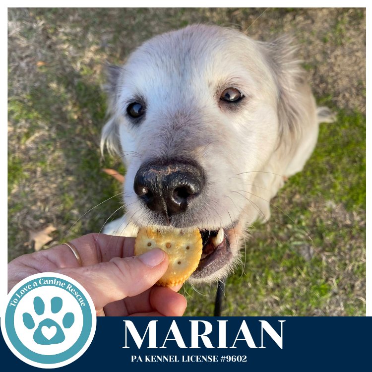 Maid Marian 020726 - Photo 3