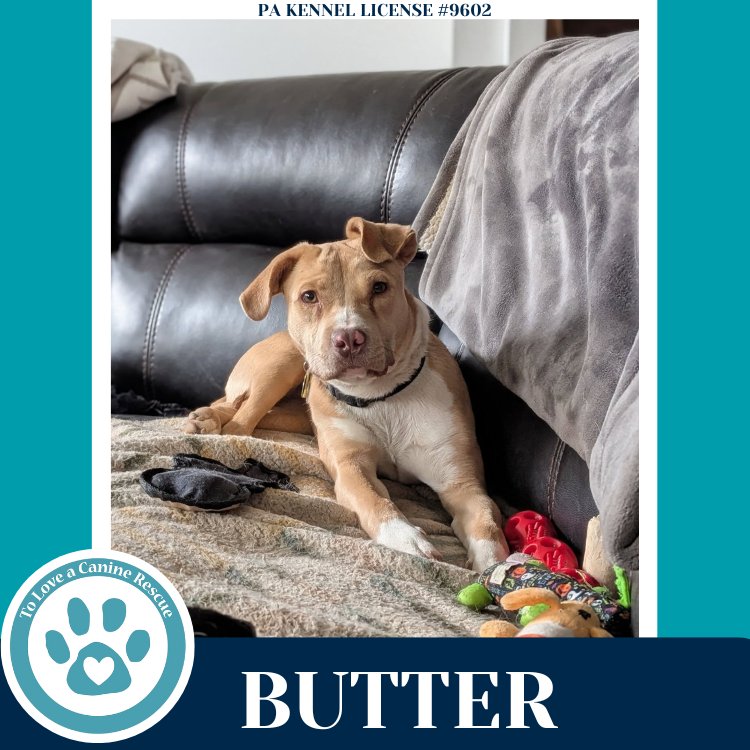 Butter (The Baking Bunch) 080925 Image