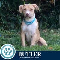 Butter (The Baking Bunch) 080925 - Photo 2