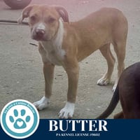 Butter (The Baking Bunch) 080925 - Photo 4