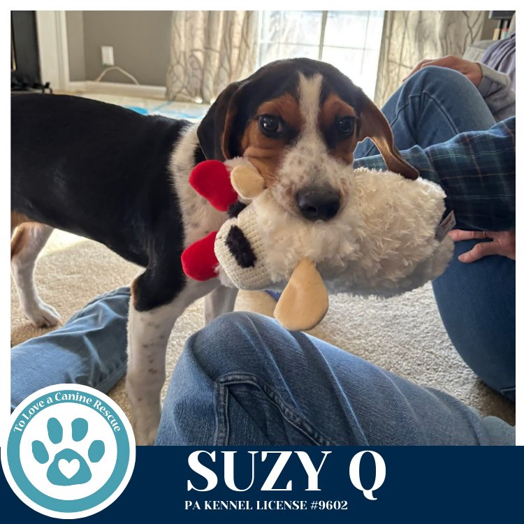 Suzy Q 020726 - Photo 3