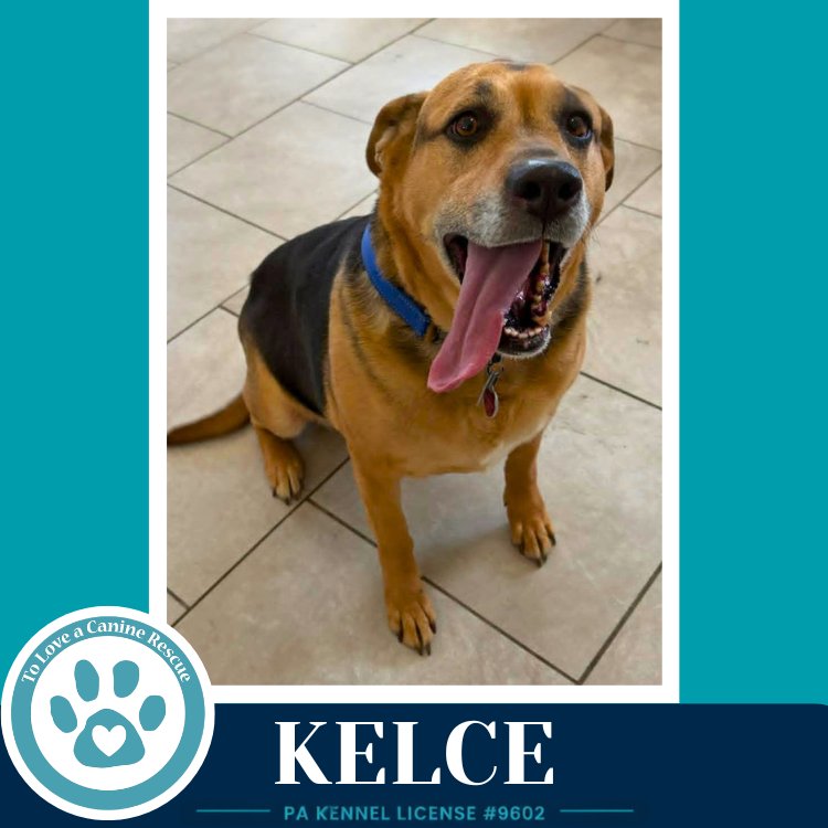 Kelce 052426 Image