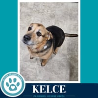 Kelce 052426 - Photo 2
