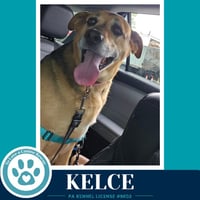 Kelce 052426 - Photo 3