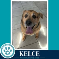 Kelce 052426 - Photo 4