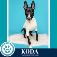 Koda 101125 - Photo 2