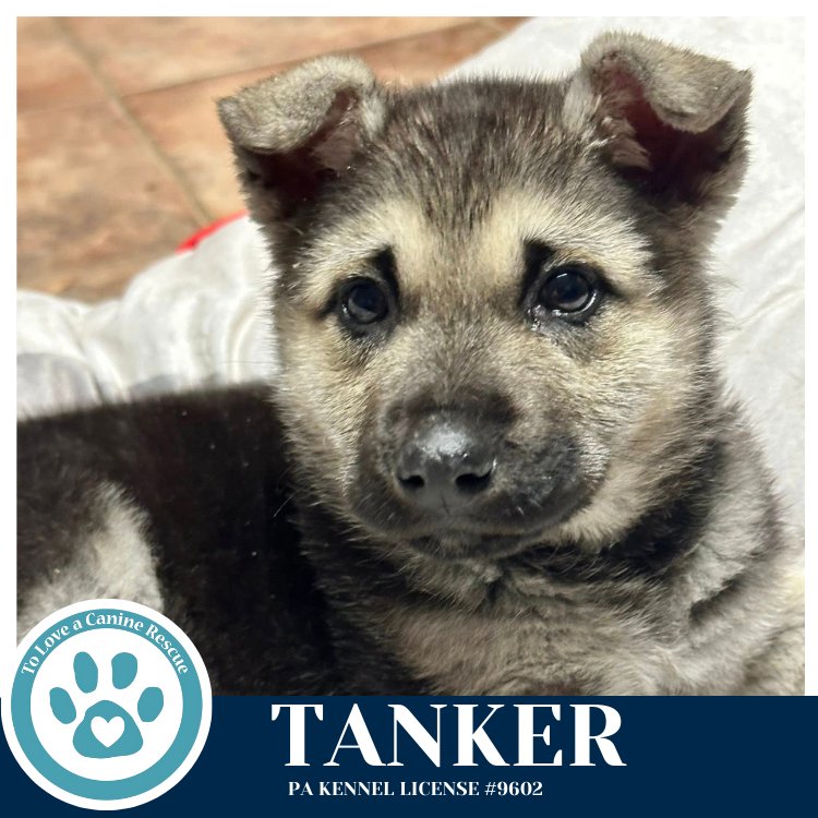 Tanker 020726 - Photo 4