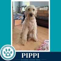 Pippi 050926 - Photo 2