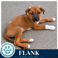 Flank (Rosie's Wranglers) 053026 - Photo 1