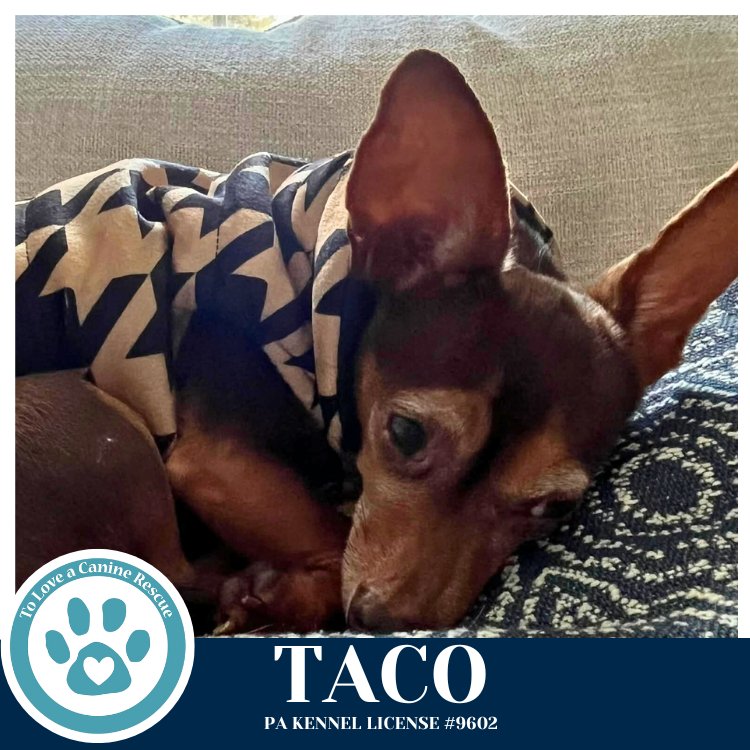 Taco 020726 - Photo 3