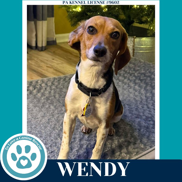 Wendy 122025 - Photo 3