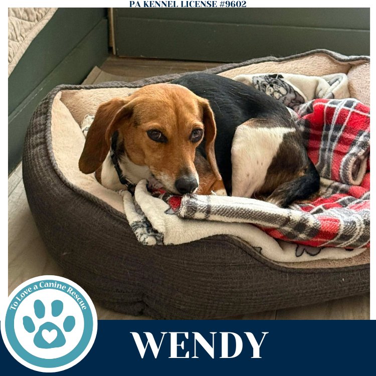 Wendy 122025 - Photo 4