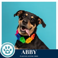 Abby (Mom to the Brindle Boos) 110423 - Photo 3