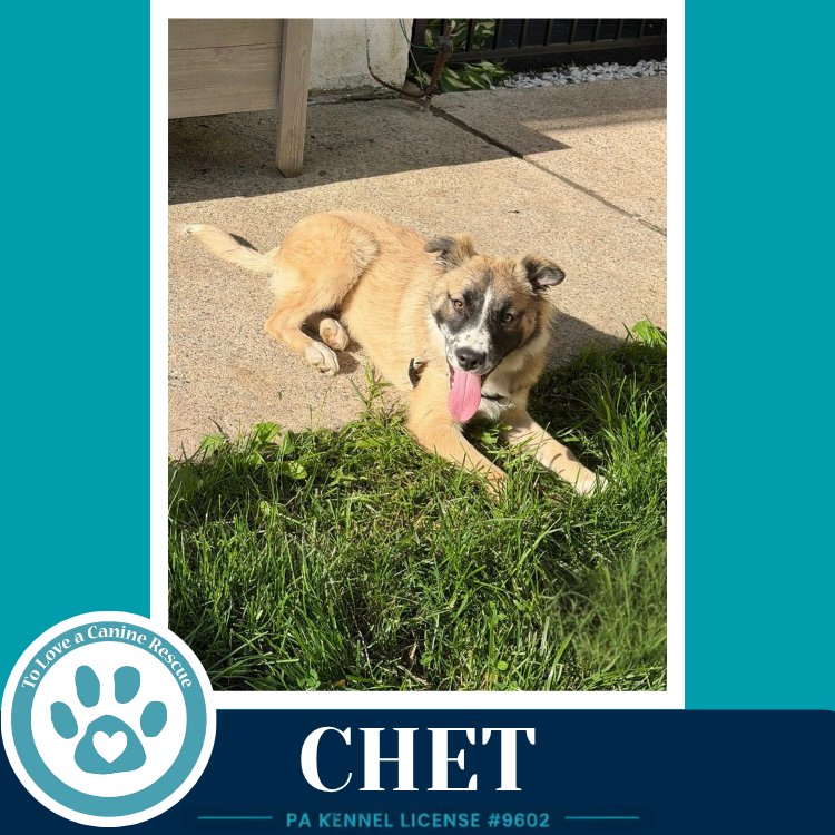 Chet 053026 Image