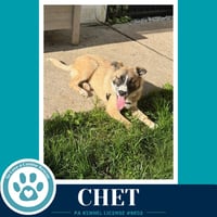 Chet 053026 - Photo 1