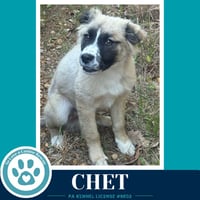 Chet 053026 - Photo 2
