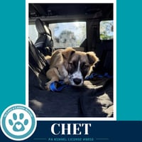 Chet 053026 - Photo 3