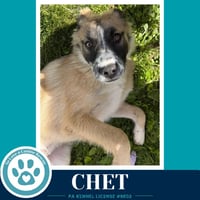 Chet 053026 - Photo 4