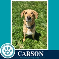 Carson FKA Bozo - Photo 3