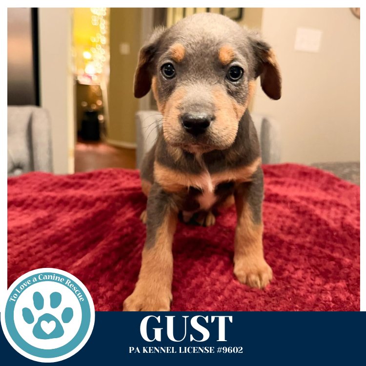 Gust (Miaâs Mini Meteorologists) 010326 - Photo 3