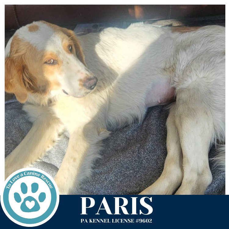 Paris 020726 - Photo 3