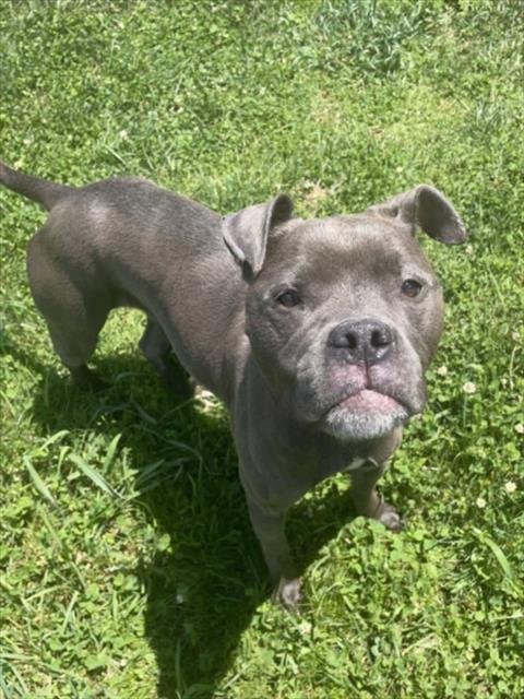 RYDER Image