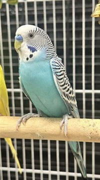 AZURE - Photo 1