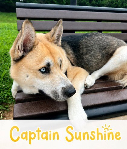 CAPT SUNSHINE Image