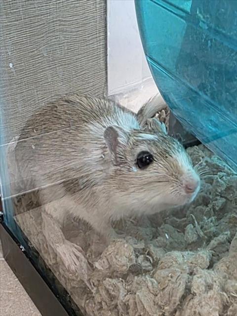 *TANK Image