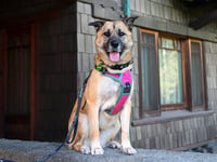 KONA - Photo 1