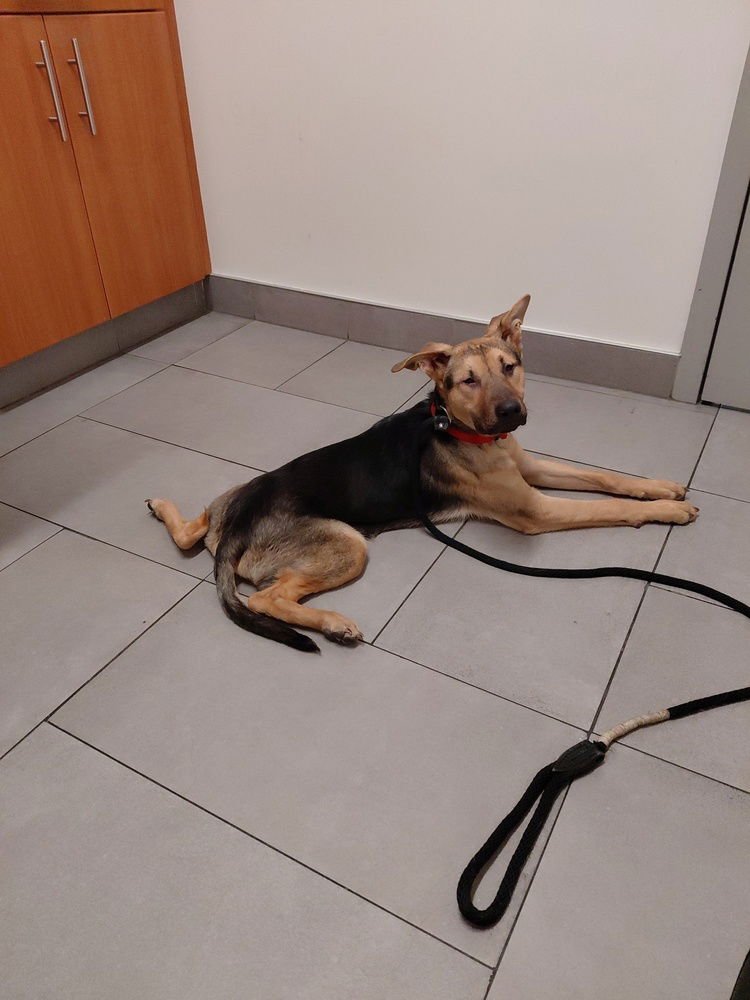 Arnold St. - Photo 3