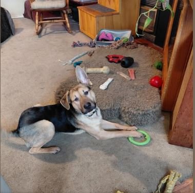 Arnold St. - Photo 4